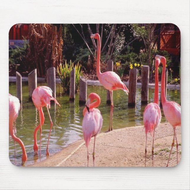 Florida Flamingos Mouse Mat (Front)