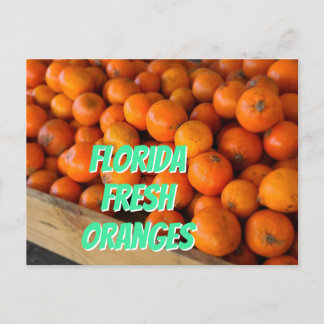 FLORIDA FRESH ORANGES Farmer's Market Grove Postcard