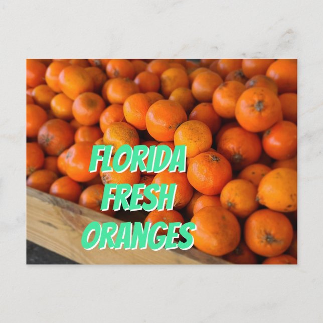 FLORIDA FRESH ORANGES Farmer's Market Grove Postcard (Front)