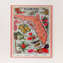 Florida Fruit 16x20 Jigsaw Puzzle