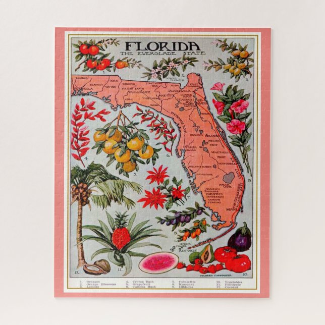 Florida Fruit 16x20 Jigsaw Puzzle (Vertical)