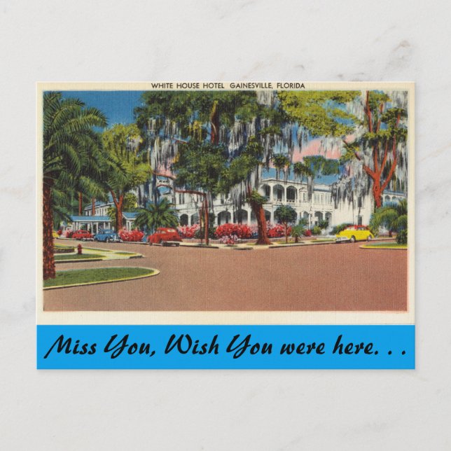 Florida, Gainesville, White House Hotel Postcard (Front)