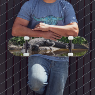Florida Gator - American Alligator Skateboard