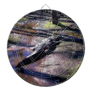Florida Gator Dartboard