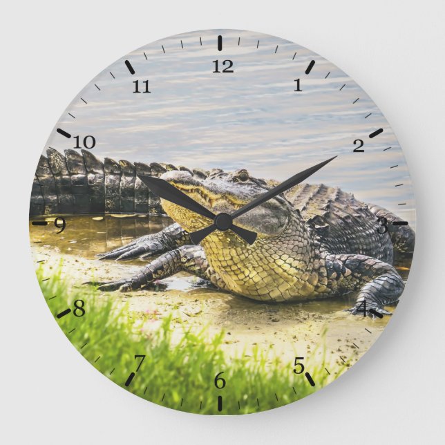 Florida gator large clock (Front)