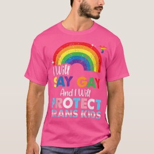 Florida Gay I Will Say Gay and I Will Protect Tran T-Shirt
