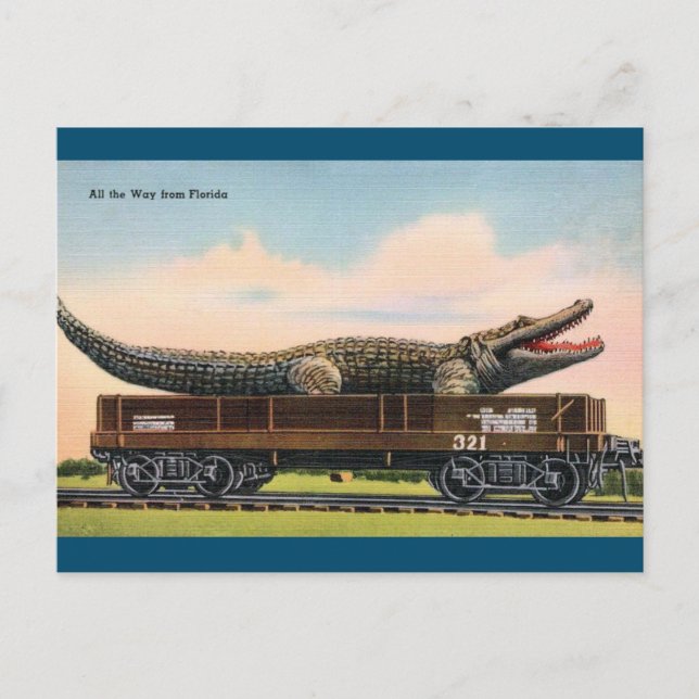 Florida Giant Alligator Vintage Travel Postcard (Front)