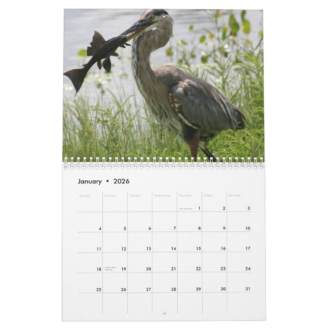 FLORIDA GREAT BLUE HERON CALENDAR (Jan 2026)