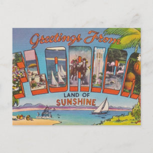 Florida Greetings Postcard