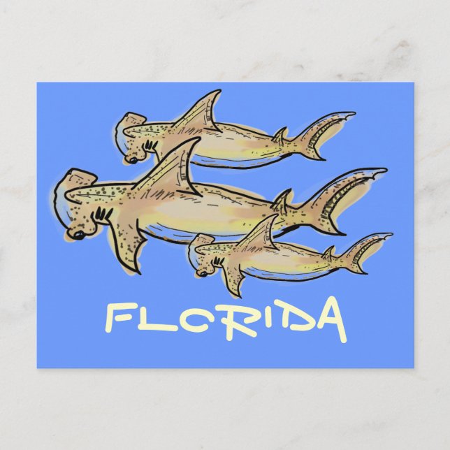 Florida hammerhead sharks postcard (Front)