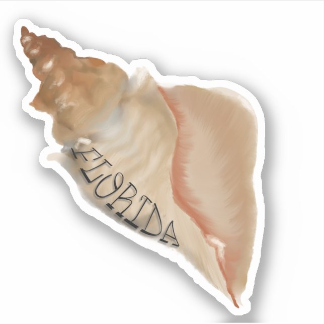 Florida Horse Conch Shell (Front)