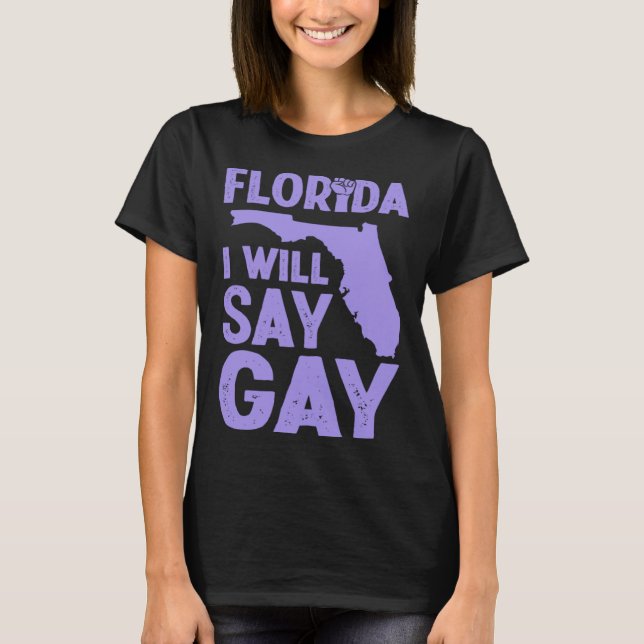 Florida I Will Say Gay Pride Queer Rights LGBTQ Al T-Shirt (Front)