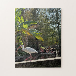 Florida Ibis Jigsaw Puzzle