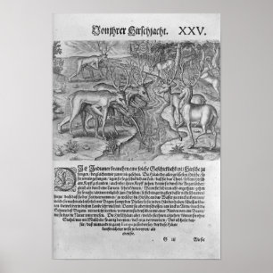 Florida Indians hunting deer Poster