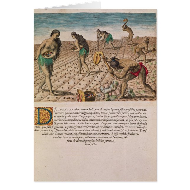 Florida Indians planting maize (Front)