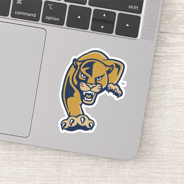 Florida International University Panthers (Detail)