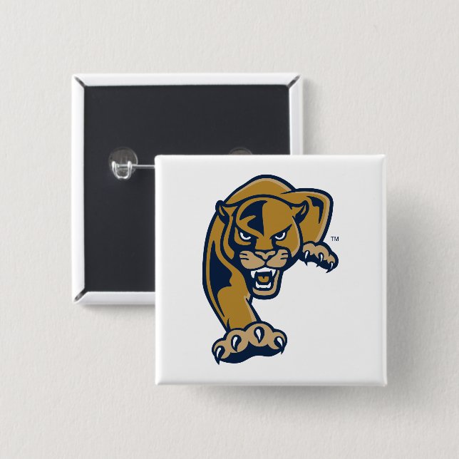 Florida International University Panthers 15 Cm Square Badge (Front & Back)
