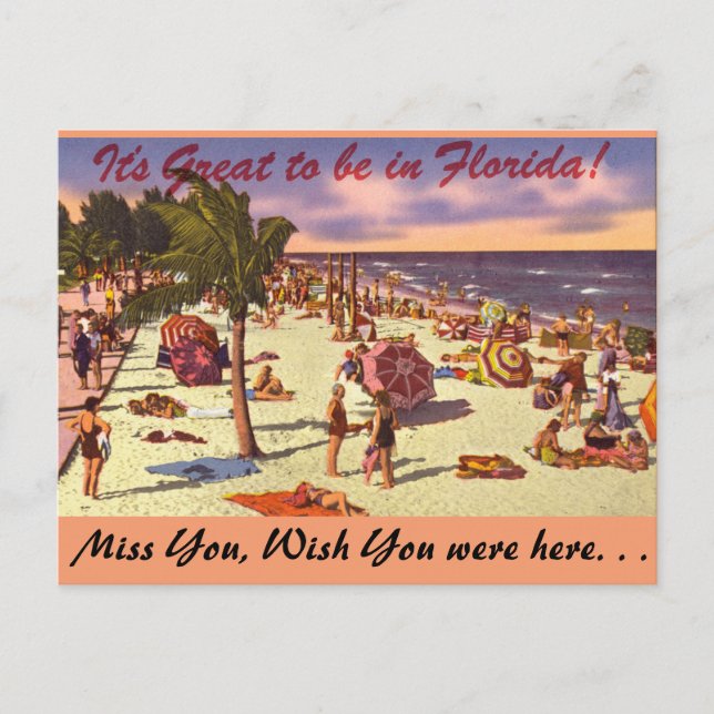 Florida, It's Great to be in Postcard (Front)