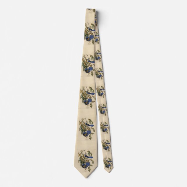 Florida Jay (Scrub-Jay) Audubon's Birds of America Tie (Front)