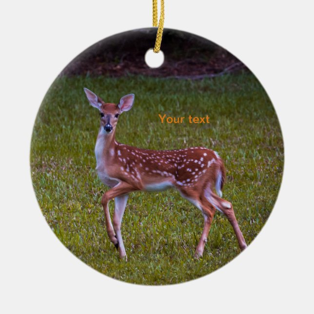 Florida Key deer Juvenile fawn photography Ceramic Tree Decoration (Front)