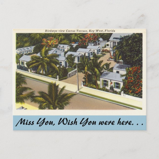 Florida, Key West, Cactus Terrace Postcard (Front)