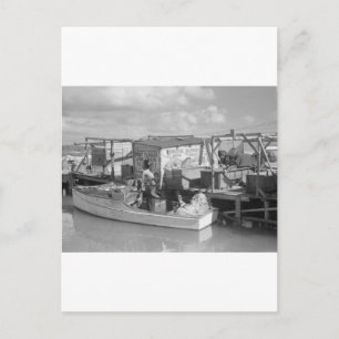 Florida Keys Fishing, 1938 Postcard