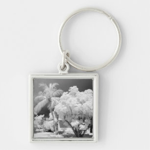 Florida Keys house and its palm trees, USA. 2 Key Ring
