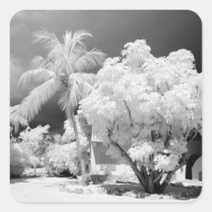 Florida Keys house and its palm trees, USA. 2 Square Sticker