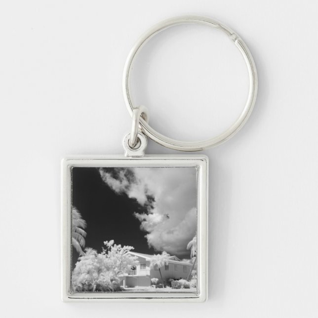 Florida Keys house and its palm trees, USA. Key Ring (Front)