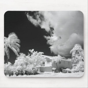 Florida Keys house and its palm trees, USA. Mouse Mat