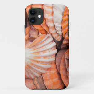 Florida Keys, Key West, seashells iPhone 11 Case