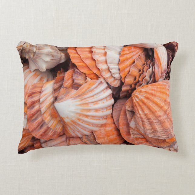 Florida Keys, Key West, seashells Decorative Cushion (Front)