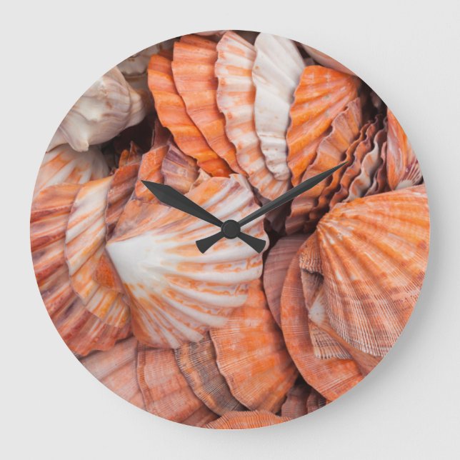 Florida Keys, Key West, seashells Large Clock (Front)