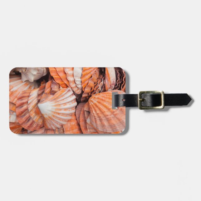 Florida Keys, Key West, seashells Luggage Tag (Front Horizontal)