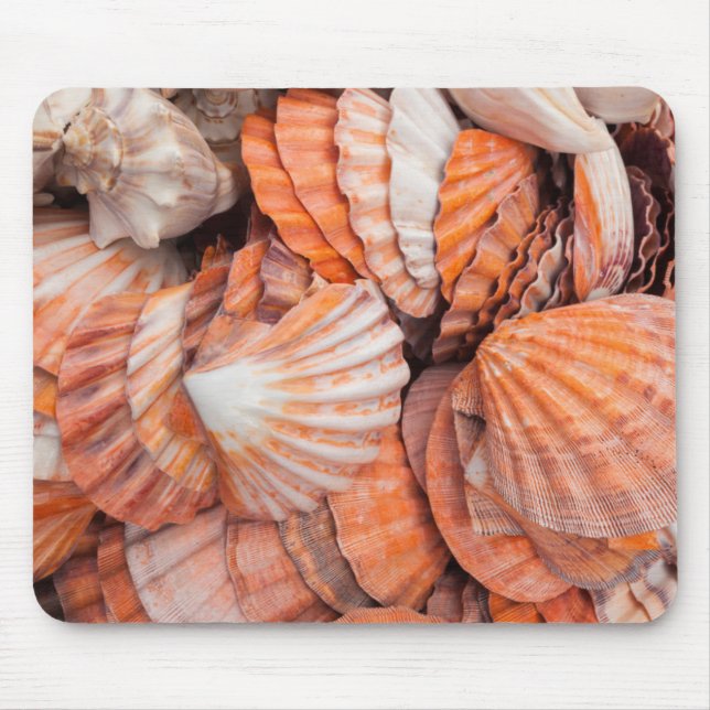 Florida Keys, Key West, seashells Mouse Mat (Front)
