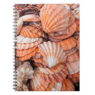 Florida Keys, Key West, seashells Notebook