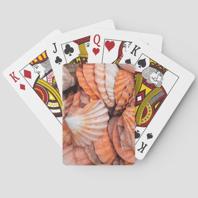 Florida Keys, Key West, seashells Playing Cards (Back)