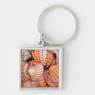 Florida Keys, Key West, seashells Ring