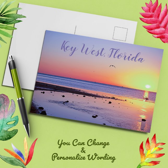 Florida Keys Key West Sunset with Seagull Postcard (Creator Uploaded)