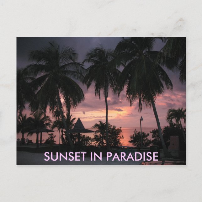 Florida Keys Sunset in Paradise postcard (Front)