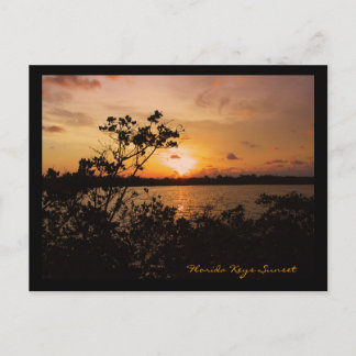 Florida Keys Sunset Postcard
