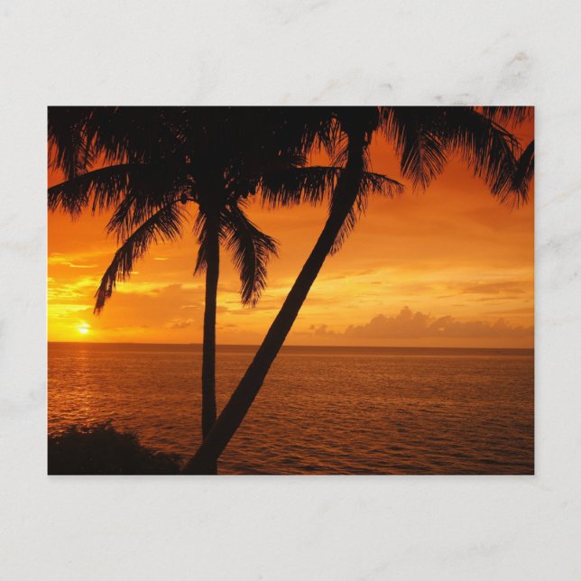 Florida Key's Sunset Postcard (Front)