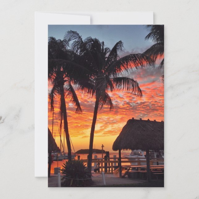 Florida Keys tropical sunset Card (Front)