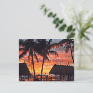 Florida Keys tropical sunset Postcard