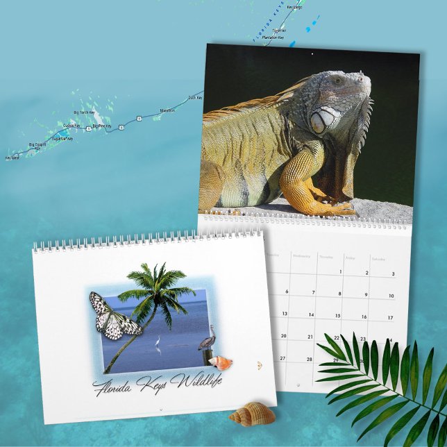 Florida Keys Wildlife Calendar (Creator Uploaded)