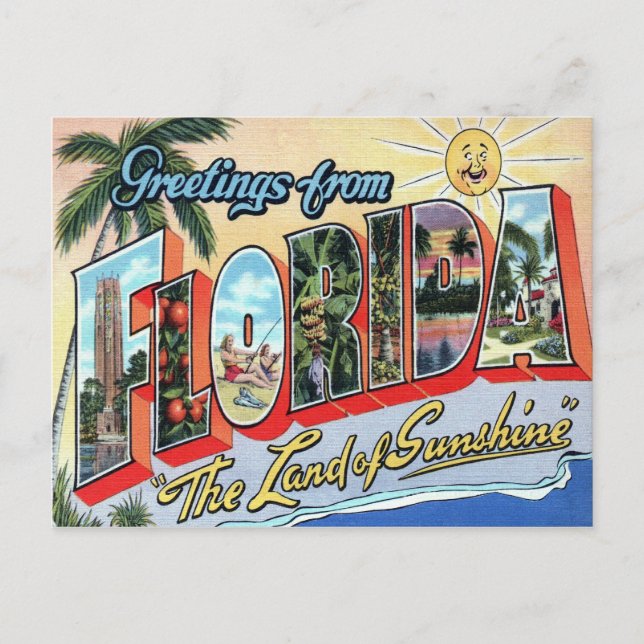 Florida Large Letter Postcard (Front)