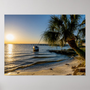 Florida Leaning Palm Tree Sunset Poster