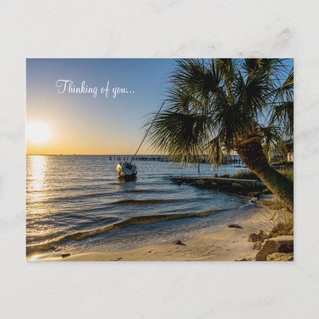 Florida Leaning Palm Tree Sunset Thinking Of You Postcard (Front)