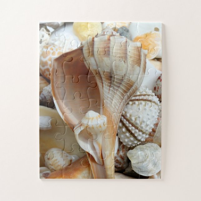 Florida Lightning Whelk Kids Seashells Puzzle (Vertical)