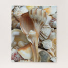 Florida Lightning Whelk Seashells Puzzle